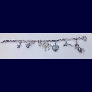 Sterling silver Texas charm bracelet 6 charms 30 grams